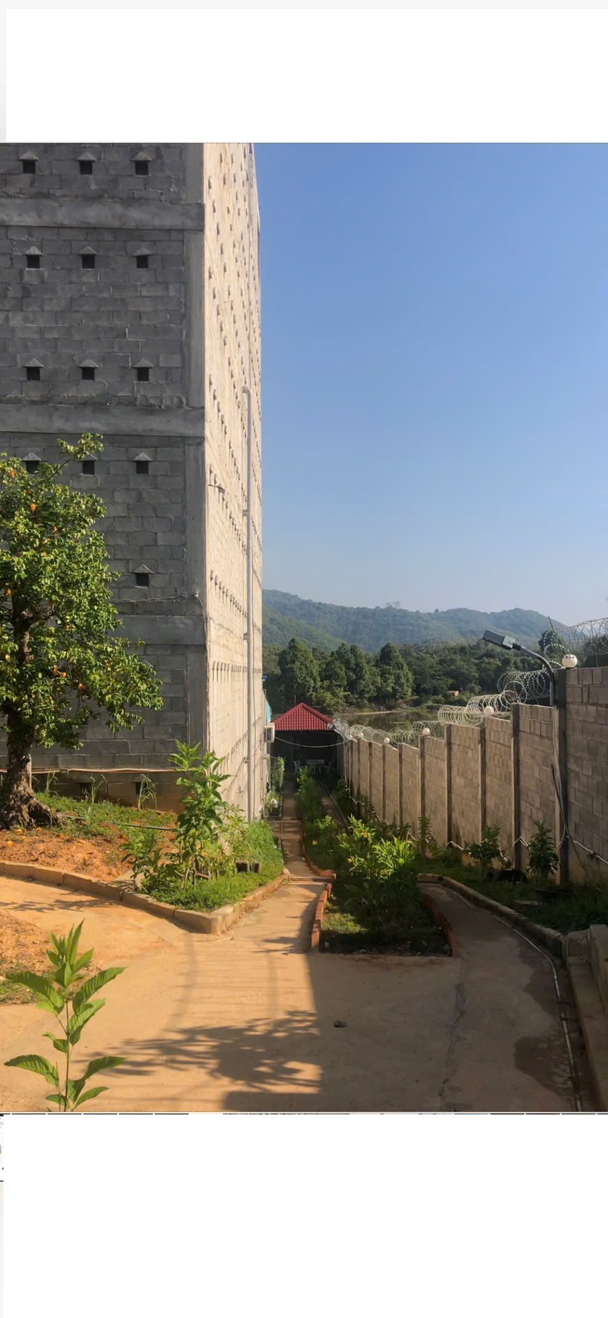 Chính Chủ Bán Nhà Đất Có Sẵn Nhà Yến Diện Tích 1249m² Tại Nam Cát Tiên, Tân Phú, Đồng Nai 15995343