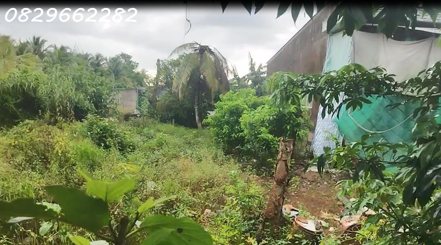 Bán Đất Sa Đéc 120m2 Đường Bà Lài, Sổ Hồng Hướng Đông Nam Chỉ 560 Triệu 15995355