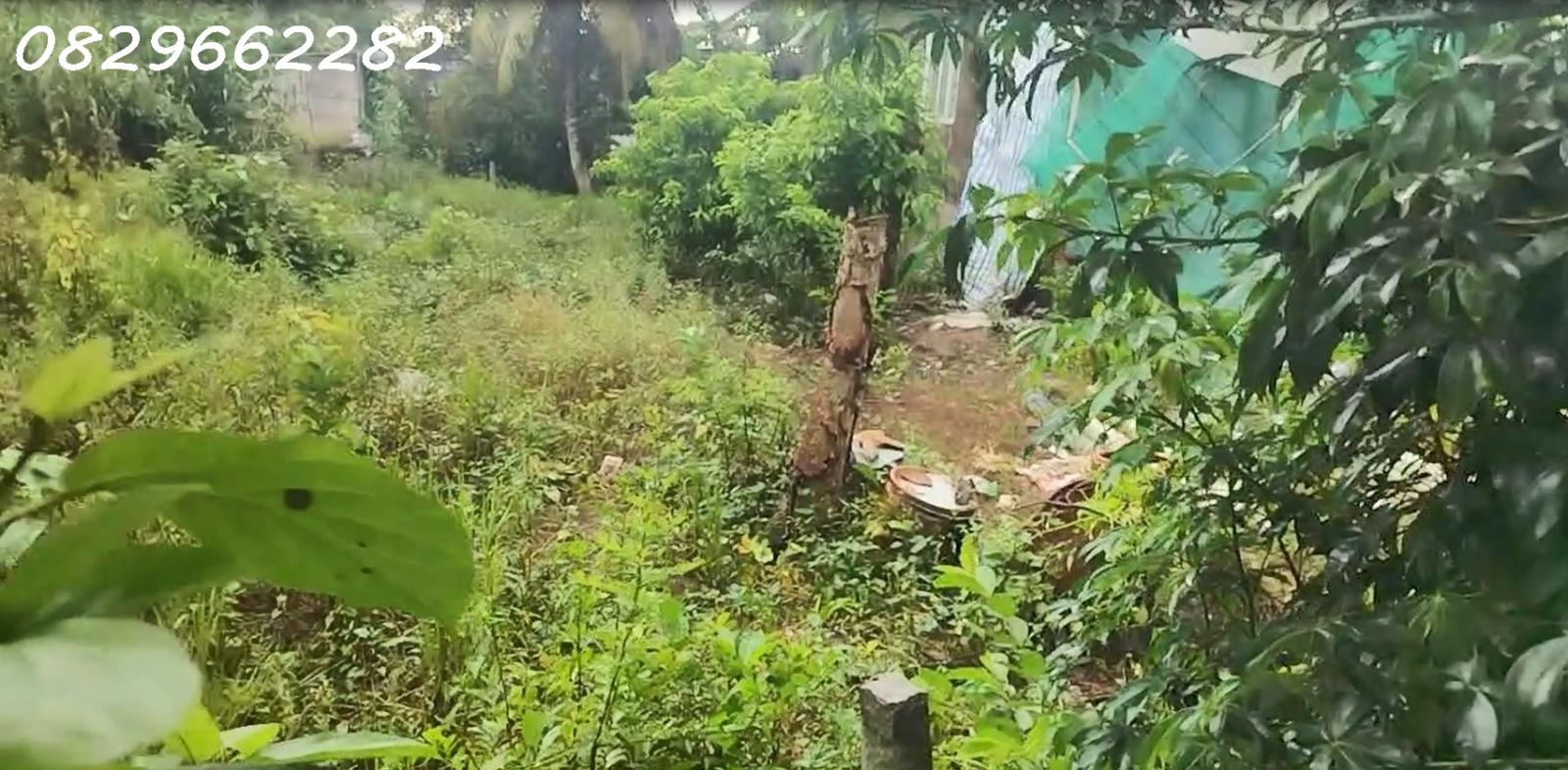 Bán Đất Sa Đéc 120m2 Đường Bà Lài, Sổ Hồng Hướng Đông Nam Chỉ 560 Triệu 15995355