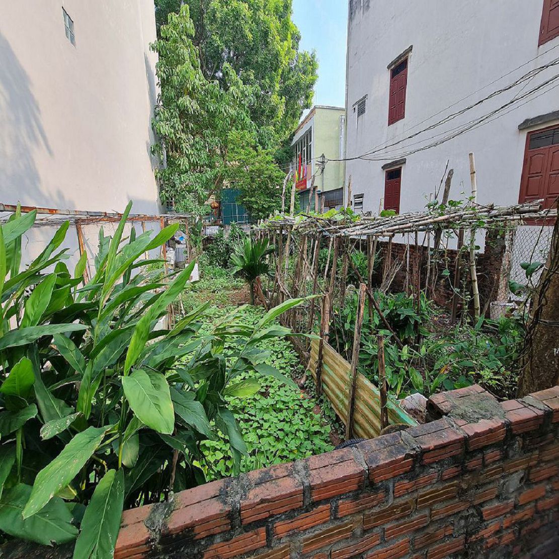 58m2 Thuận An Gia Lâm mt 4m ngõ rộng gần trục chính chỉ 3 tỷ 📞 0989894845 15995375