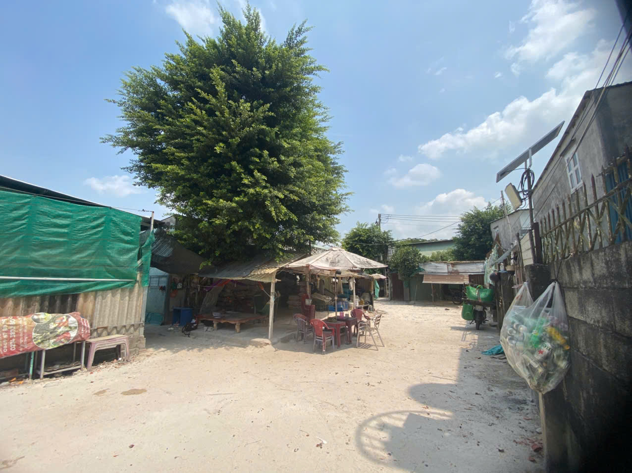 Cho Thuê Đất Gần Chợ Lái Thiêu  - Thuận An – Vị Trí Đẹp, Giá Tốt 15995394