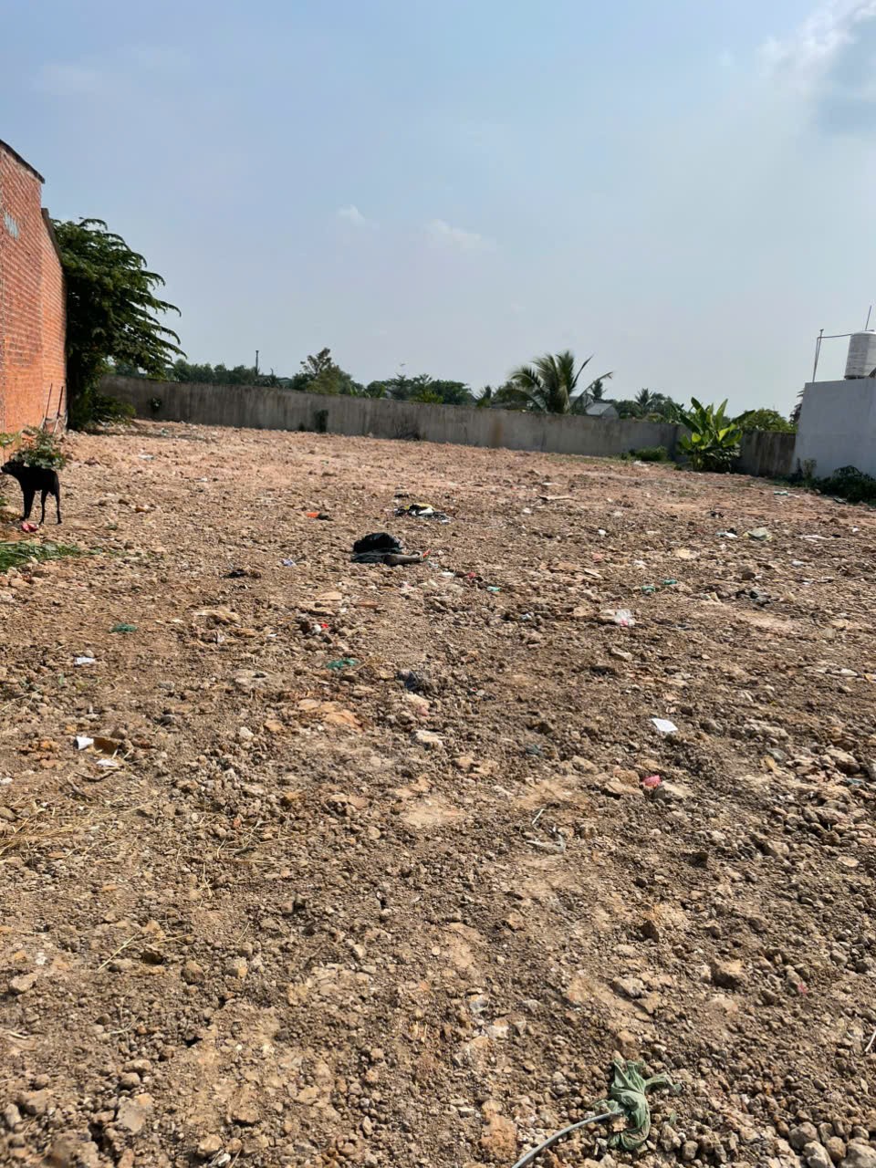 ĐẤT CHÍNH CHỦ - MẶT TIỀN Đường Xã Đức Hòa Thượng, Huyện Đức Hòa, Tỉnh Long An 15995452