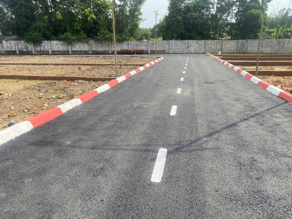 0393778489  bán đất trung tâm Phú Cát, 137m2, sát tỉnh lộ 446, full thổ cư giá chỉ 38 triệu/m2 15995455