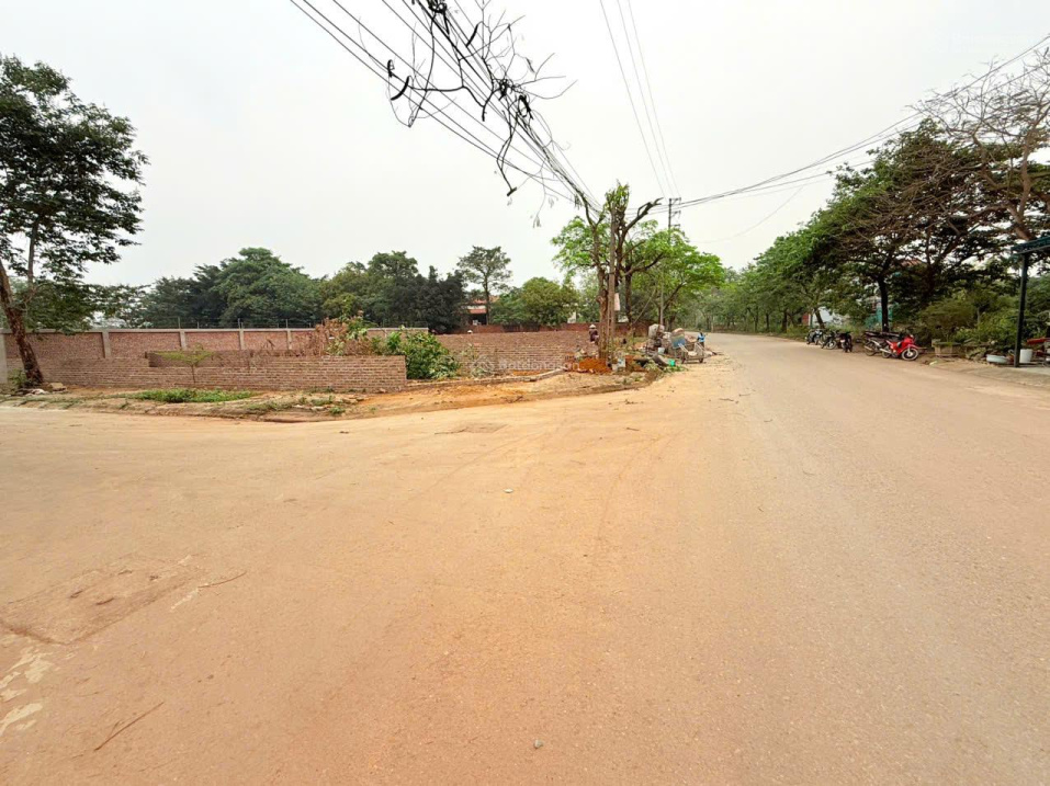 0393778489  bán đất trung tâm Phú Cát, 137m2, sát tỉnh lộ 446, full thổ cư giá chỉ 38 triệu/m2 15995455