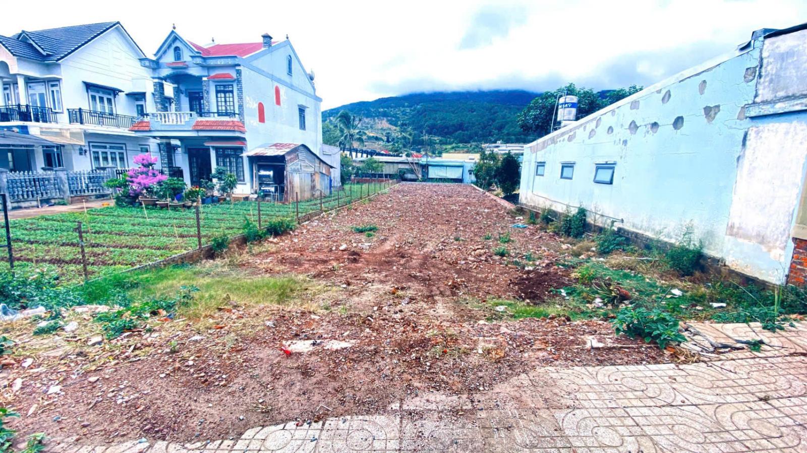 Bán đất mặt tiền quốc lộ 20 hiệp thạnh phi nôn đức trọng giá 9,6 tỷ 15995478