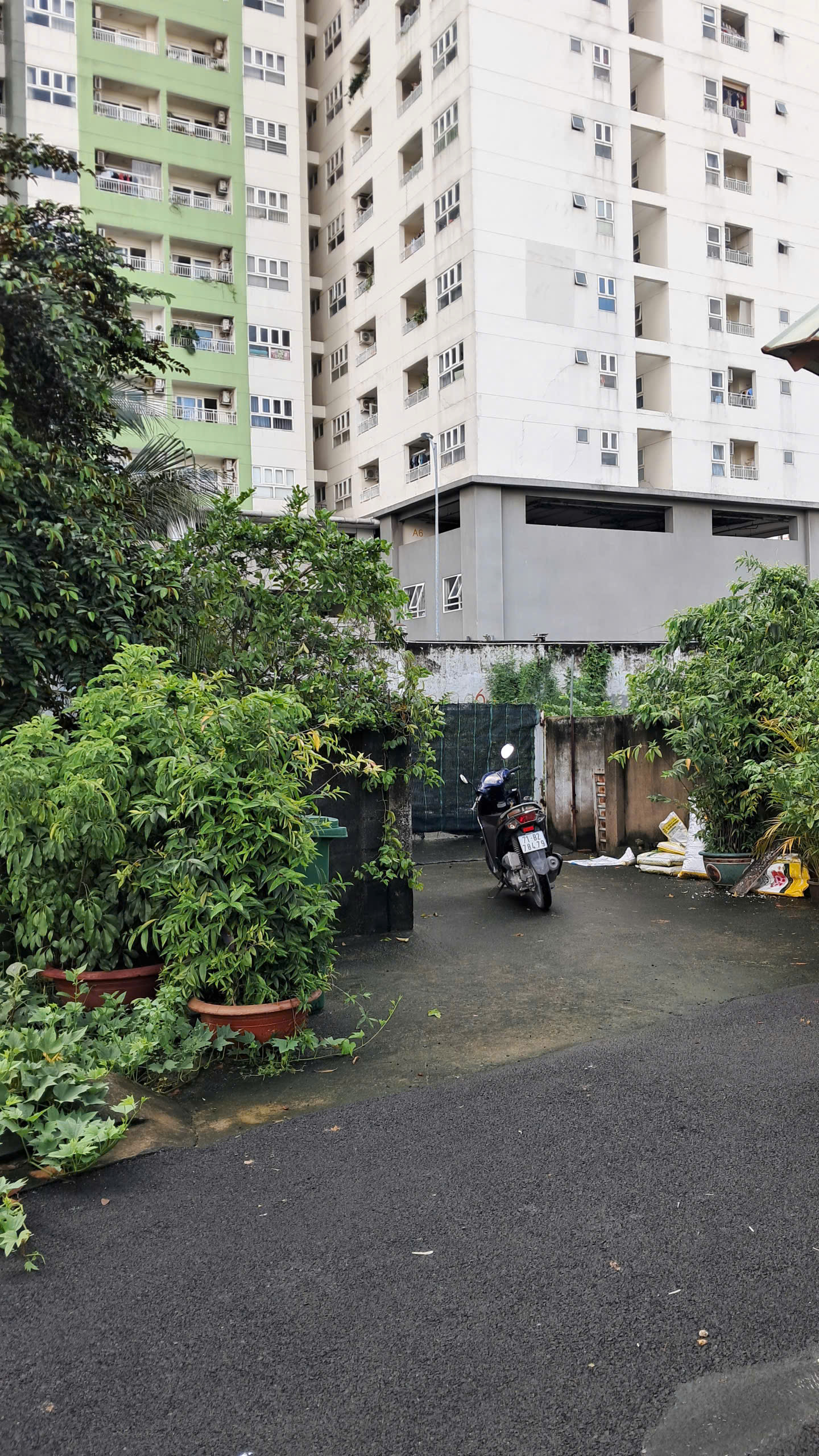 Bán Lô Đất Lớn Giá Siêu Rẻ Đường Số 3 - Trường Thọ - Thành Phố Thủ Đức 15995481