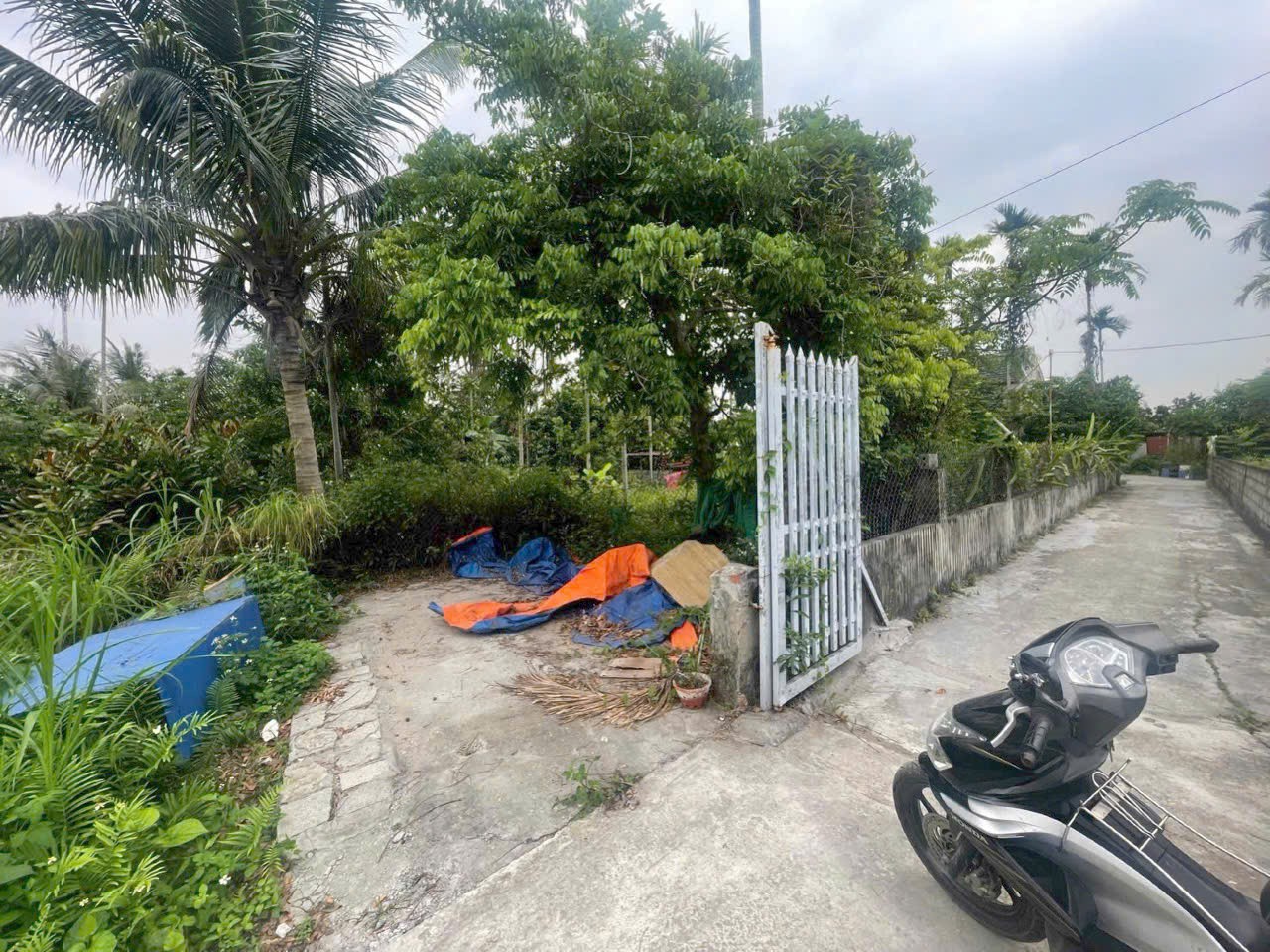 SIÊU PHẨM NHÀ VƯỜN ĐẠI THẮNG, HÒA NGHĨA – 880M2 – GIÁ CỰC 