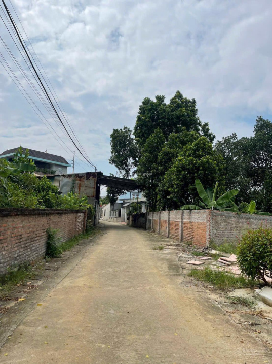 thôn 3 Phú Cát, giá siêu tốt diện tích: 134m2 full thổ cư 100% giá rẻ 15995538