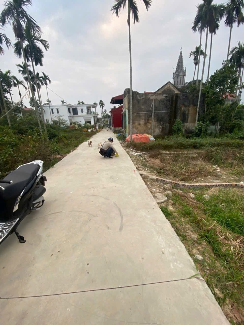 ĐẤT ĐẸP- GIÁ TỐT CHÍNH CHỦ BÁN NHANH LÔ ĐẤT VỊ TRÍ ĐẮC ĐỊA tại An Dương, TP Hải Phòng 15995572