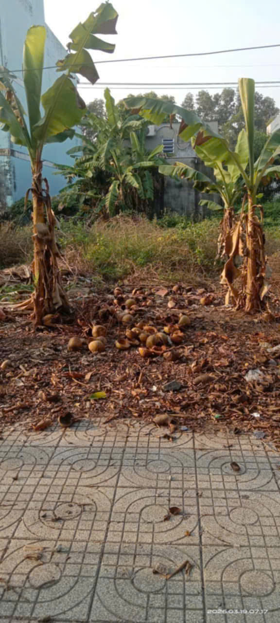 ĐẤT ĐẸP - GIÁ TỐT BÁN NHANH LÔ ĐẤT VỊ TRÍ ĐẮC ĐỊA TẠI Xã Thành Tâm,  Chơn Thành, Bình Phước 15995586