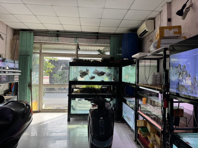 Bán nhà đường số 9, Phường Linh Xuân, Thủ Đức, TP HCM. DT 82m2, sổ hồng, 5.1 tỷ. 15995673