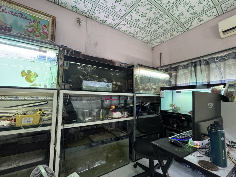 Bán nhà đường số 9, Phường Linh Xuân, Thủ Đức, TP HCM. DT 82m2, sổ hồng, 5.1 tỷ. 15995673