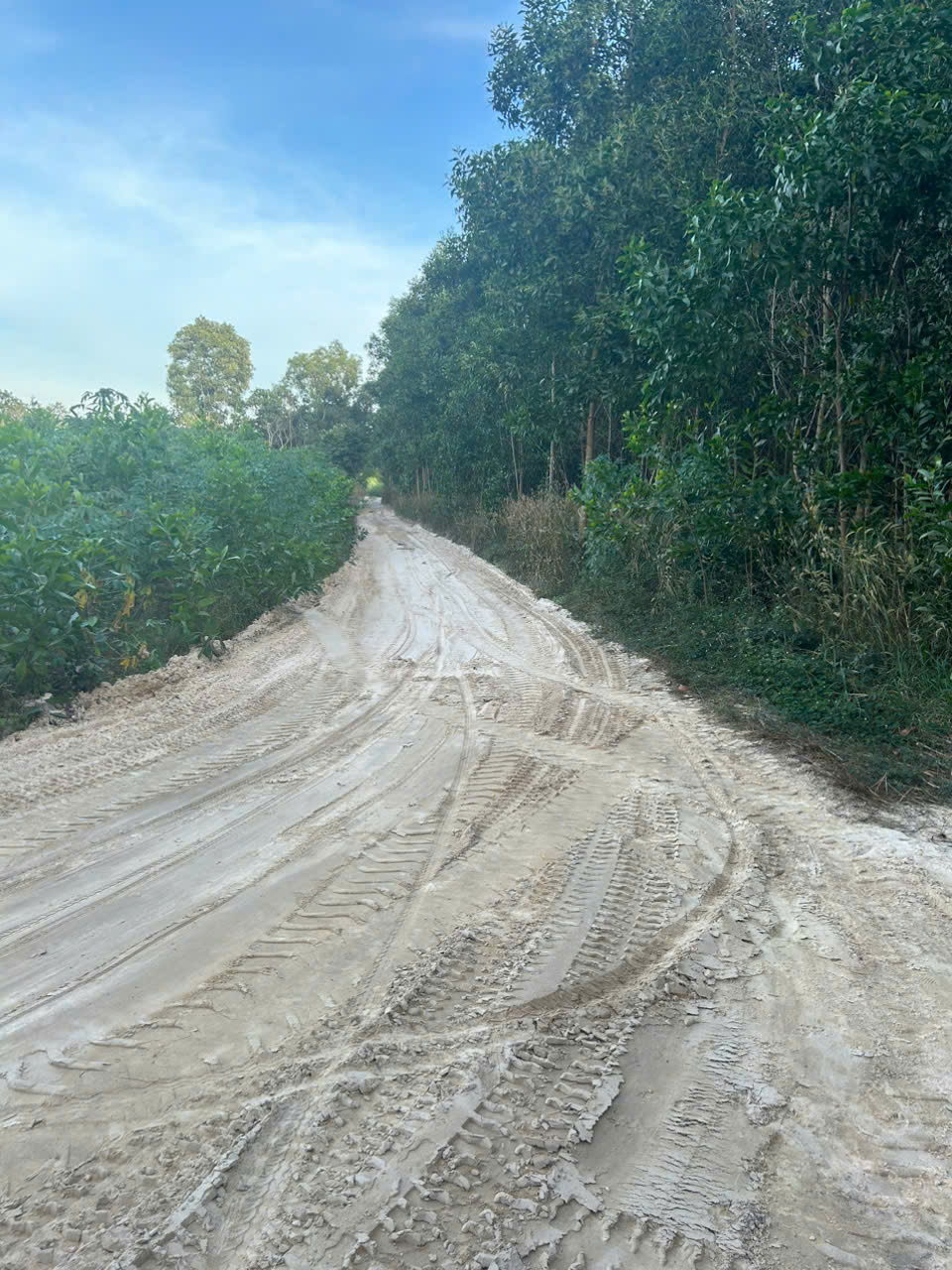 Bán 4.5 sào hẻm Cù Chính Lan - LaGi giá rẻ quy hoạch SKC 15995708