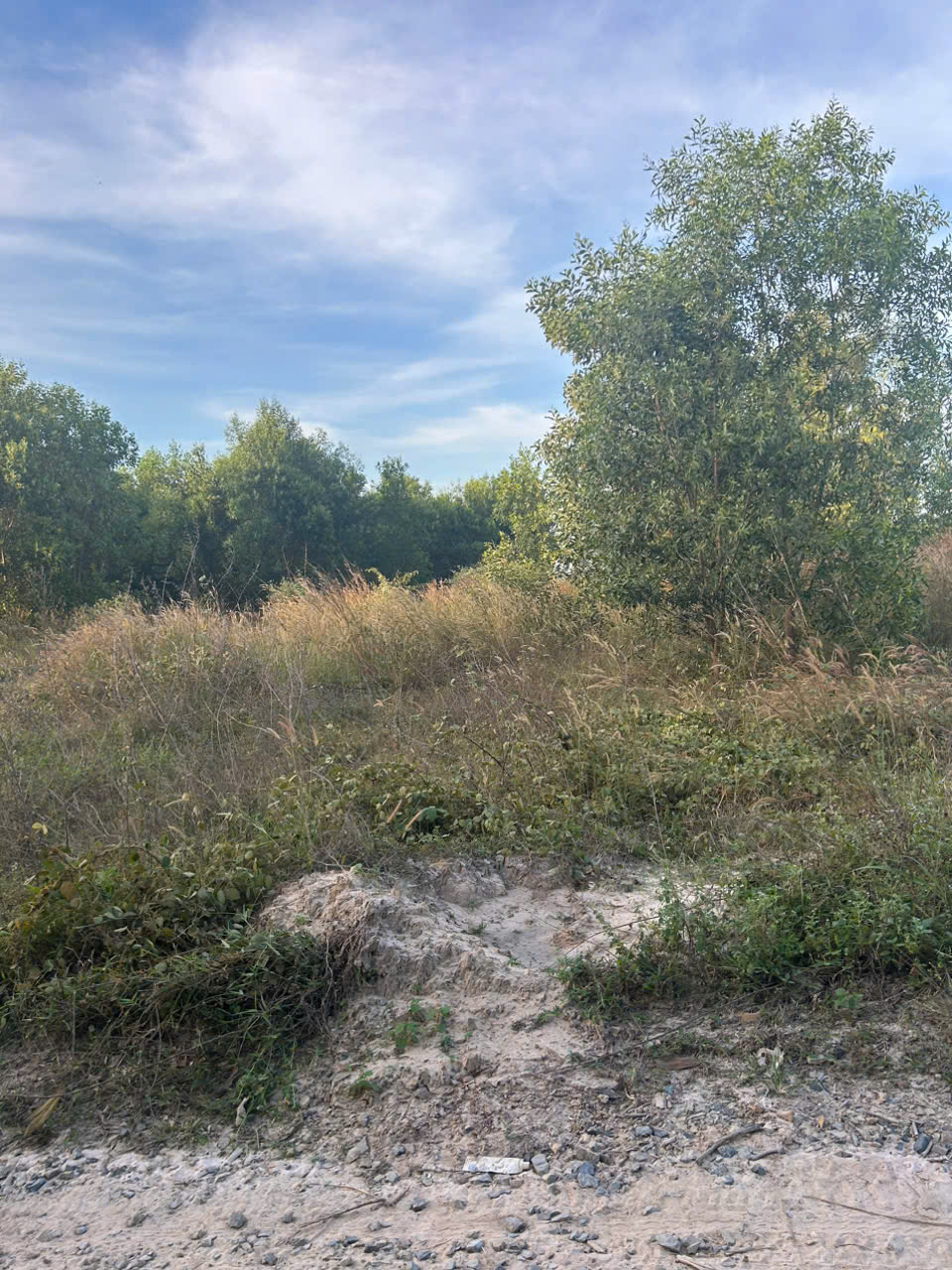 Bán 4.5 sào hẻm Cù Chính Lan - LaGi giá rẻ quy hoạch SKC 15995708