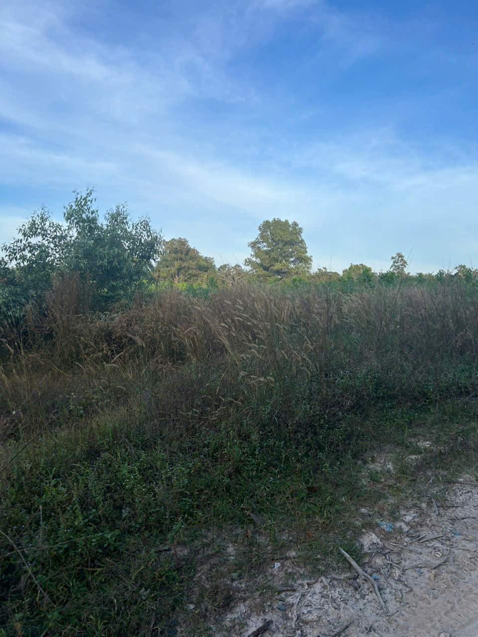 Bán 4.5 sào hẻm Cù Chính Lan - LaGi giá rẻ quy hoạch SKC 15995708