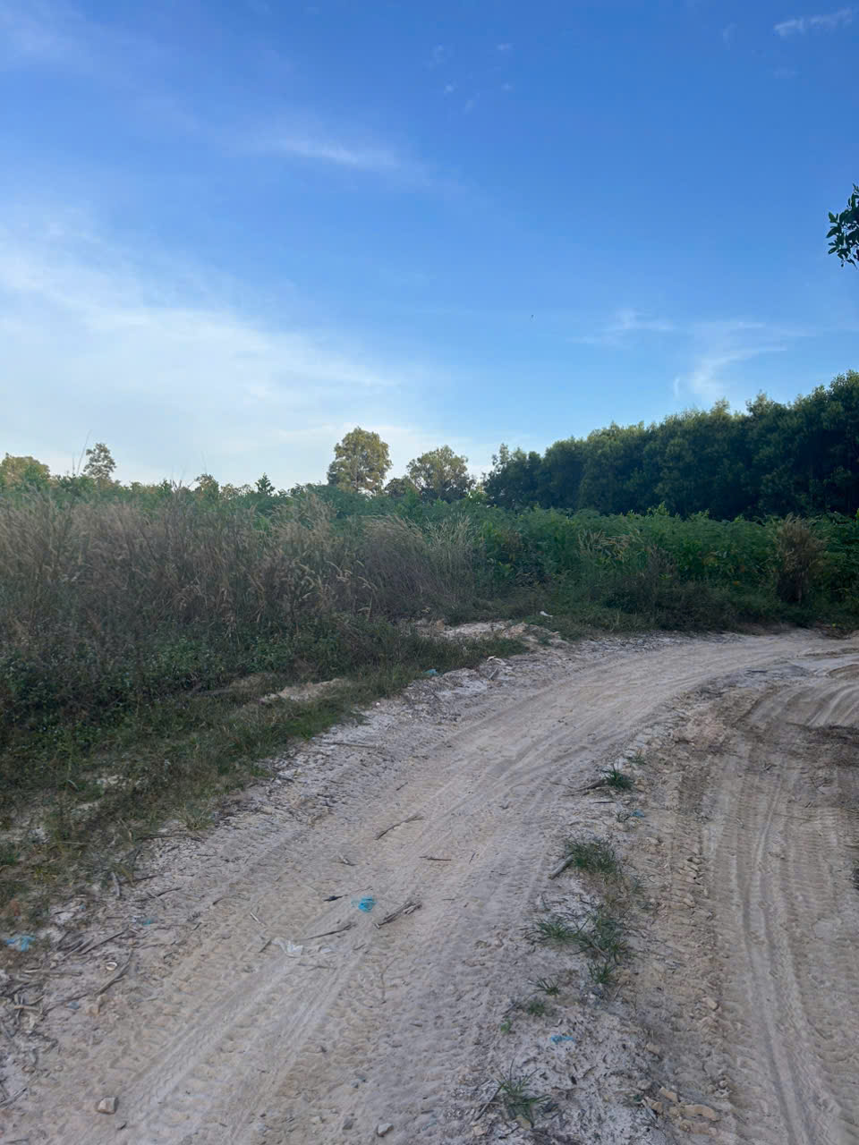 Bán 4.5 sào hẻm Cù Chính Lan - LaGi giá rẻ quy hoạch SKC 15995708