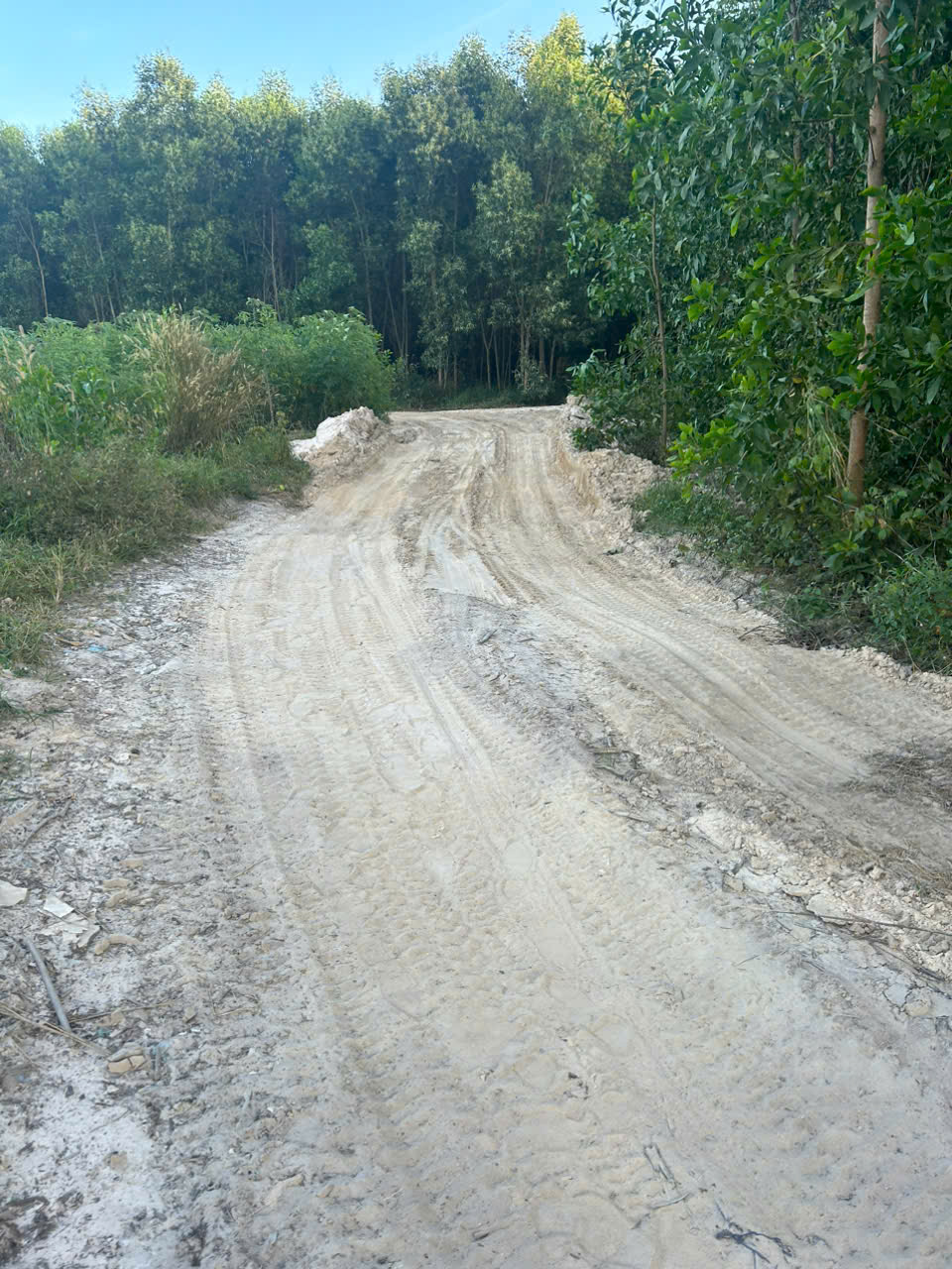 Bán 4.5 sào hẻm Cù Chính Lan - LaGi giá rẻ quy hoạch SKC 15995708