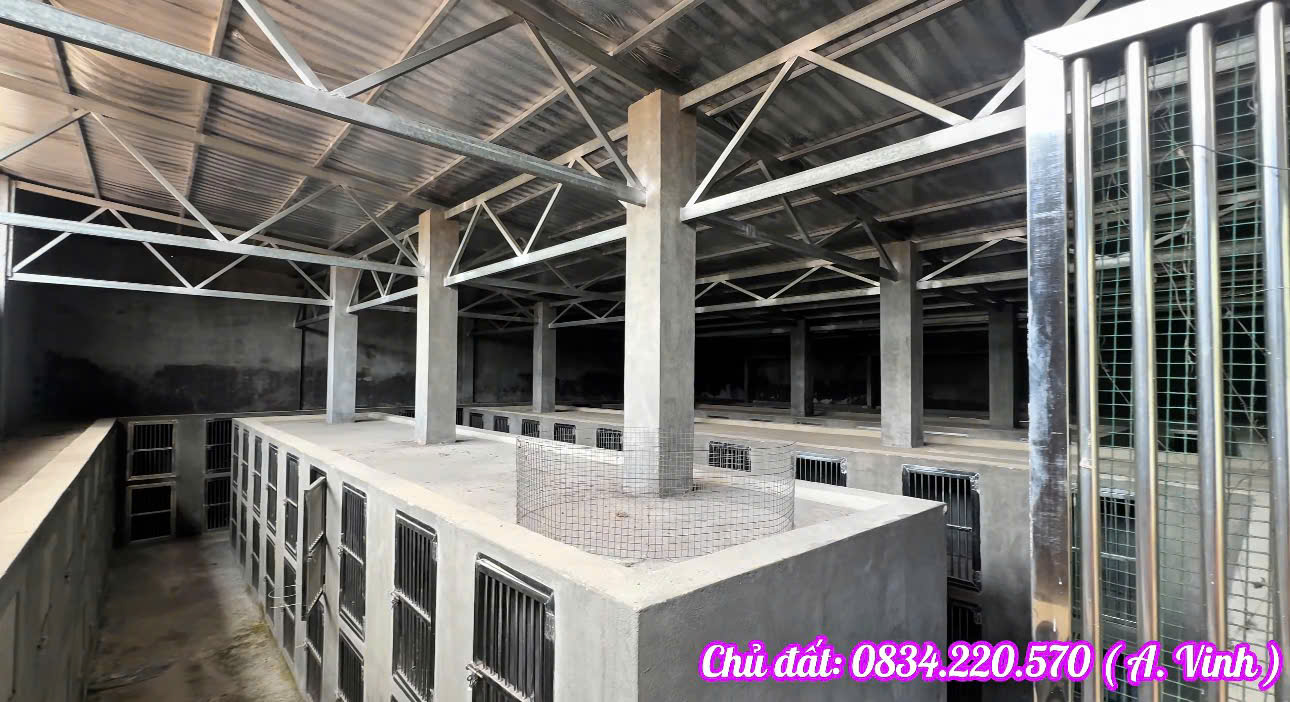 BÁN LỖ HƠN 1 TỶ – NHÀ KHO 1.073M² GẦN VÀNH ĐAI 4 – CỦ CHI – GIÁ 5,6 TỶ (TL) 15995714
