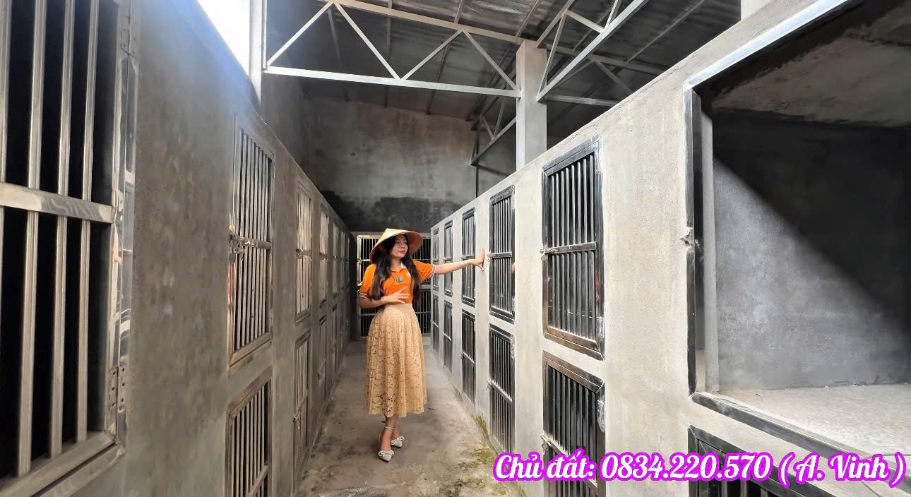 BÁN LỖ HƠN 1 TỶ – NHÀ KHO 1.073M² GẦN VÀNH ĐAI 4 – CỦ CHI – GIÁ 5,6 TỶ (TL) 15995723