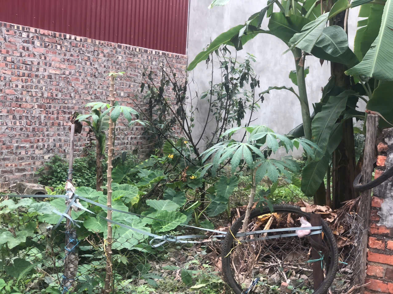 SIÊU PHẨM ĐẤT MÊ LINH – VỊ TRÍ VÀNG, GIÁ CÒN THƯƠNG LƯỢNG 15995901