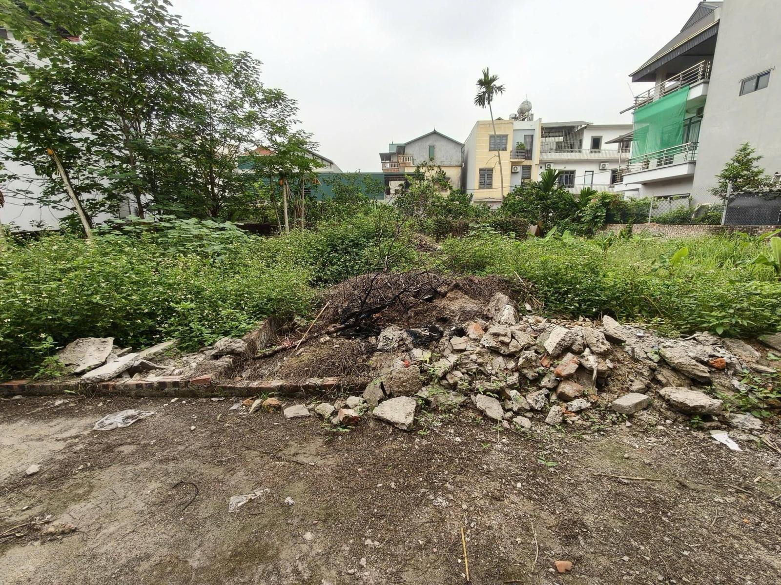 Chủ cần bán đất Nam Hồng 59m2, mt4m, 4.25 tỷ, Đông Anh. Ô tô. 15995902