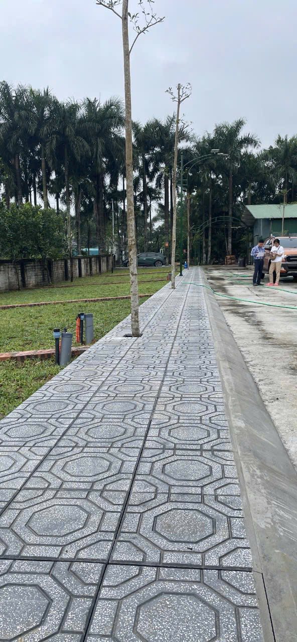 ĐẤT NỀN HÒA LẠC SỔ ĐỎ CHÍNH CHỦ 15995943