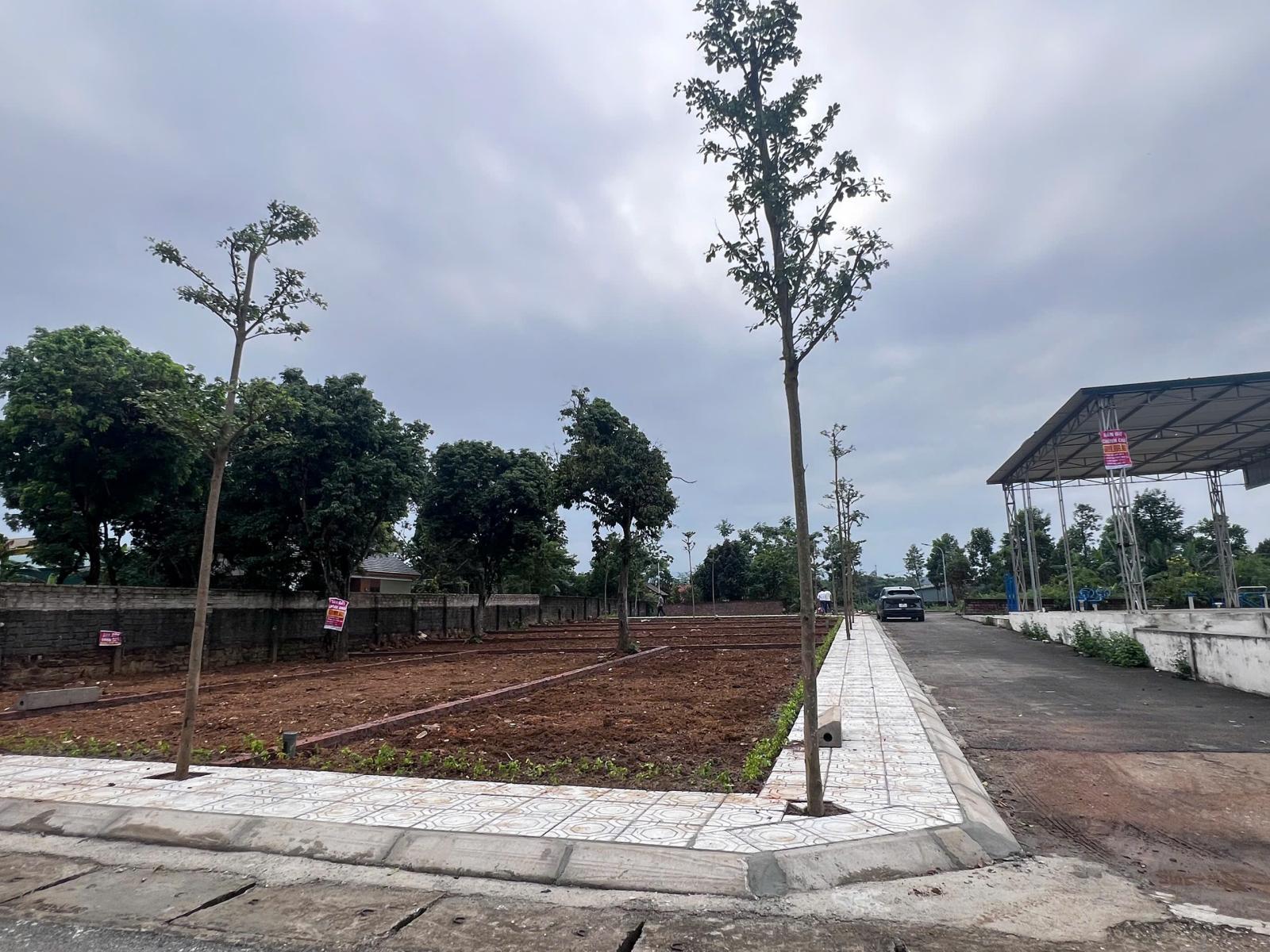 Không mua là tiếc- Đất nền Hòa Lạc chủ cần bán gấp- Uy tín, Giá siêu mềm 15995956