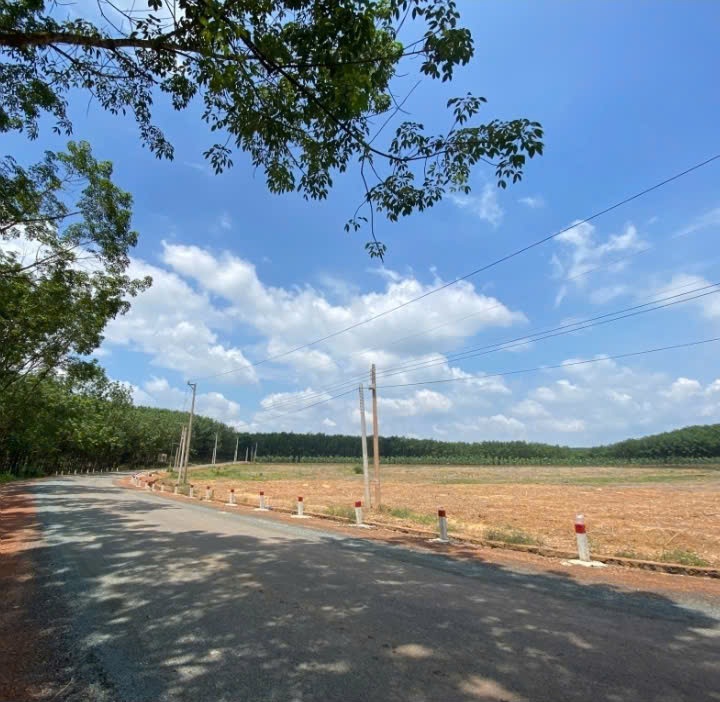 GẤP GẤP - TÔI -  CHÍNH CHỦ CẦN BÁN GẤP LÔ ĐẤT GIÁ SIÊU TỐT Vị Trí Tại Huyện Đồng Phú, Tỉnh Bình 15995983