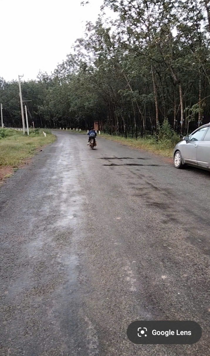 GẤP GẤP - TÔI -  CHÍNH CHỦ CẦN BÁN GẤP LÔ ĐẤT GIÁ SIÊU TỐT Vị Trí Tại Huyện Đồng Phú, Tỉnh Bình 15995983