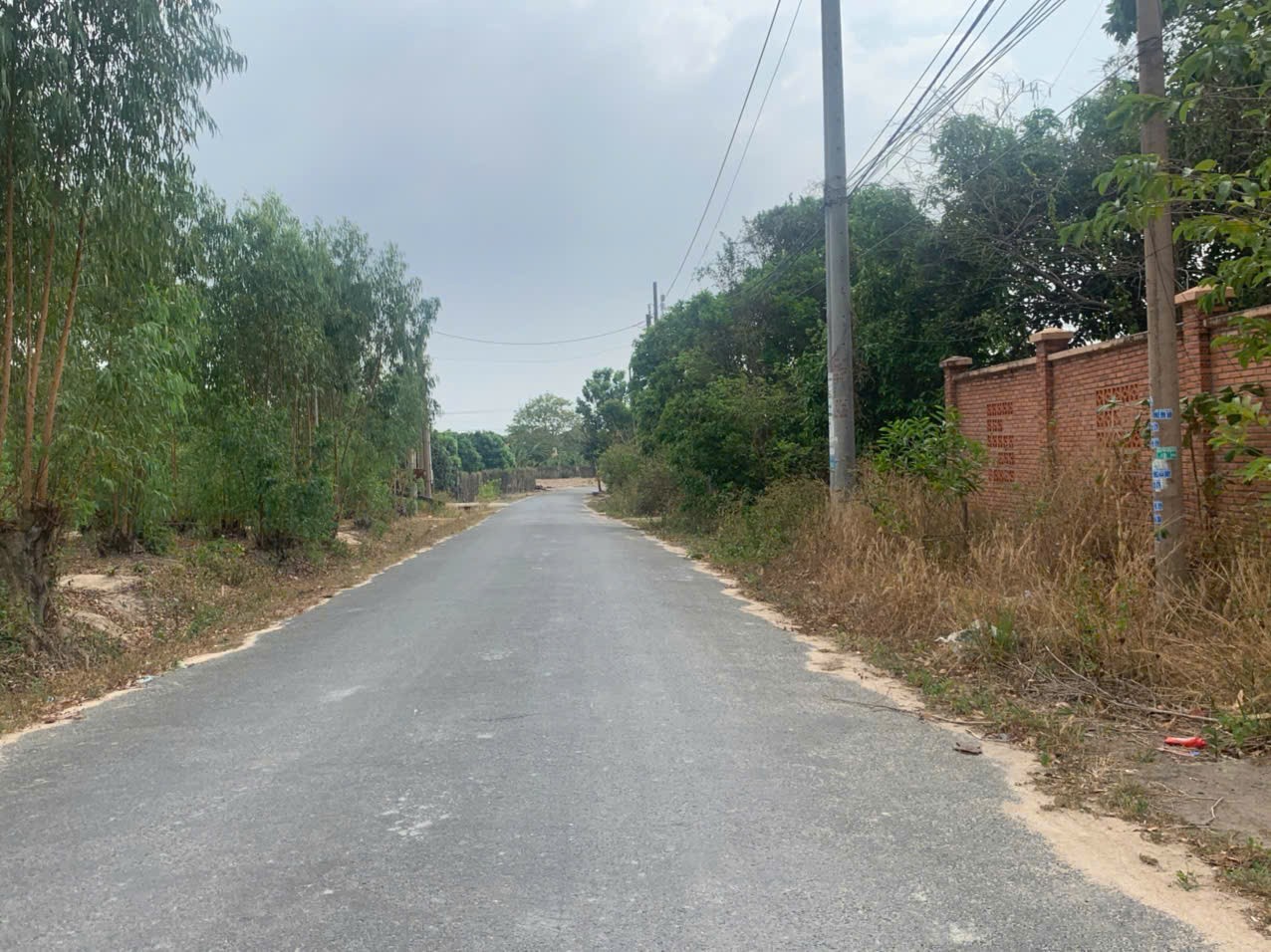 CHÍNH CHỦ BÁN ĐẤT VỊ TRÍ ĐẸP - GIÁ TỐT Tại Đường Hội Bài - Châu Pha, Xã Tân Hòa, Thành phố Phú Mỹ, 15995987