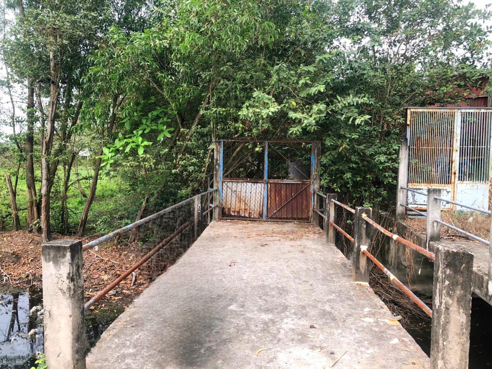 CẦN BÁN 786M2 ĐẤT VƯỜN LÊN ĐƯỢC THỔ CƯ MT ĐƯỜNG NHỰA 15996062