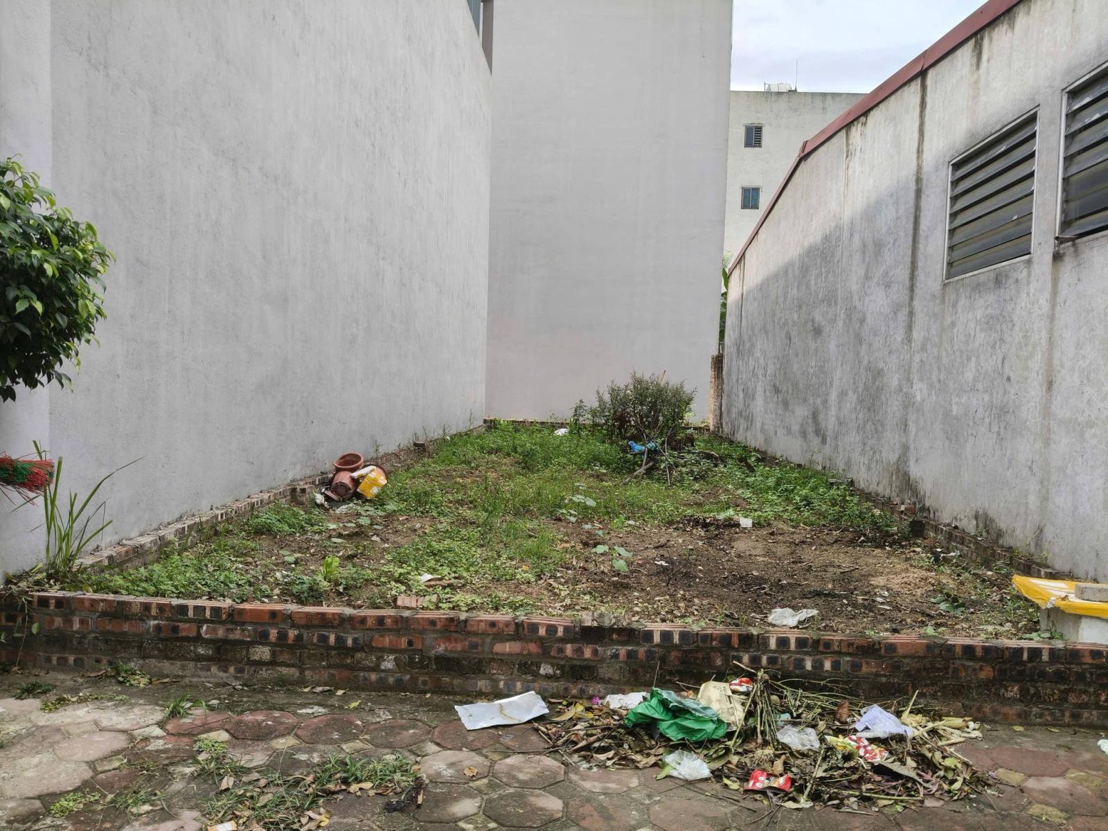 Nguyên Khê đất đấu giá X2, 80m2, mt5m, 11.5 tỷ, Đông Anh 15996103