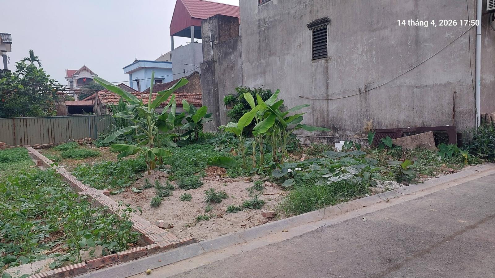 Đất Xuân Nộn, còn 1 lô, 96m2, mt6.5m, ô tô, 5.3 tỷ, Đông Anh. 15996154