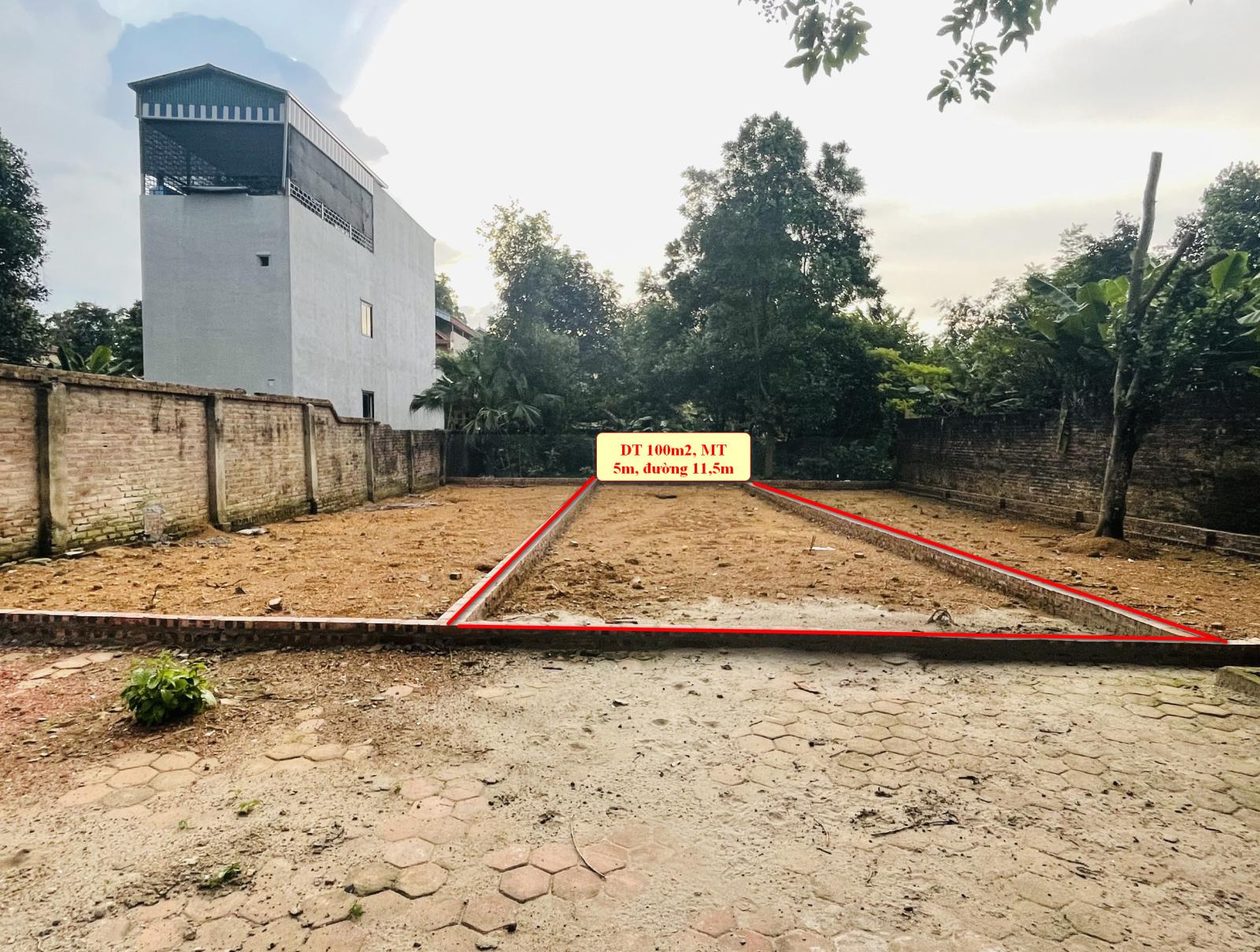 CHÍNH CHỦ CẮT LỖ 300TR BÁN NHANH 2 LÔ MẶT ĐƯỜNG PHÚ CÁT, CÁCH ĐẠI HỌC QUỐC GIA 1KM. 15996168