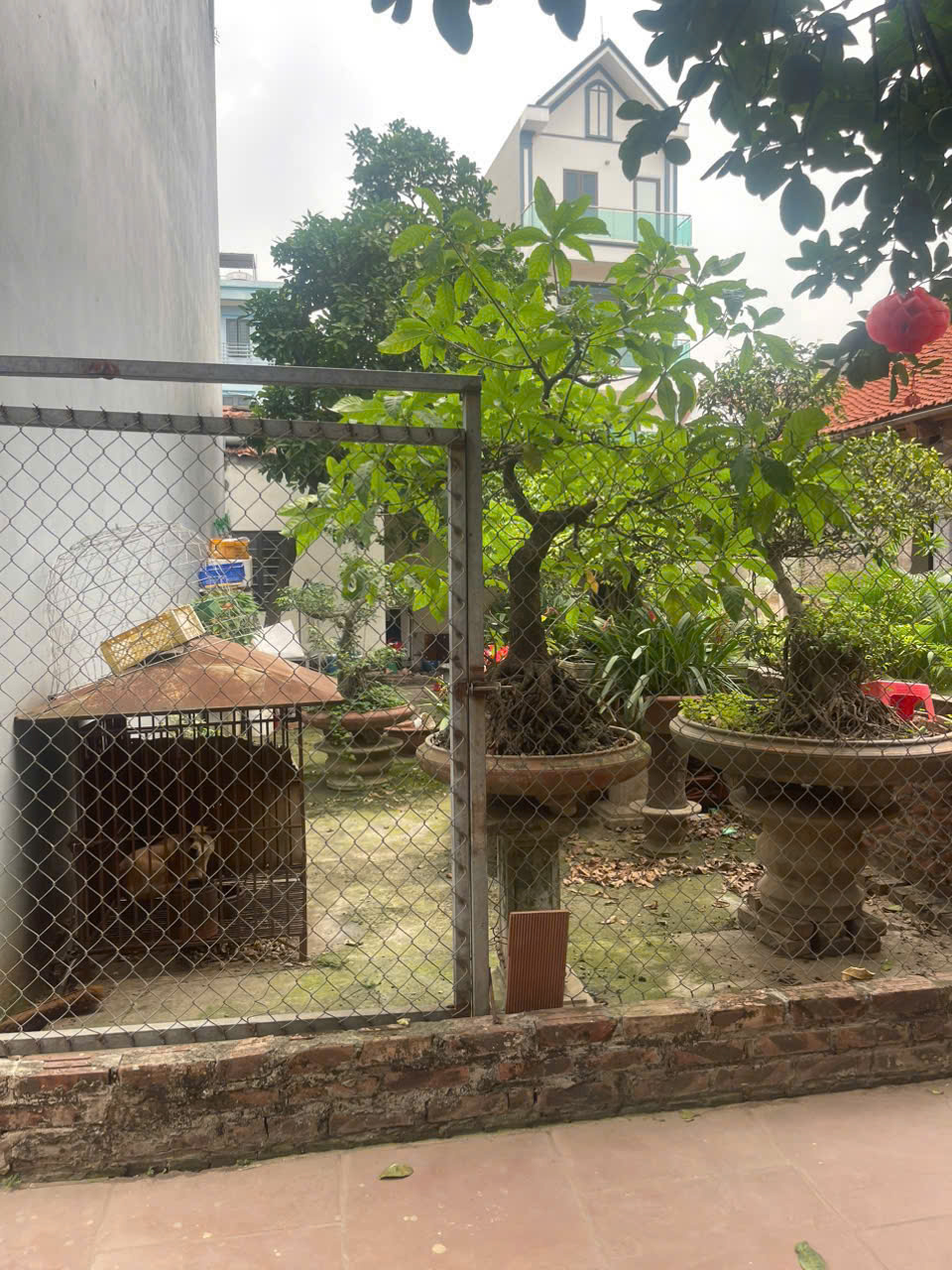 BÁN ĐẤT GẦN THỊ TRẤN TRÔI, RẺ NHẤT HOÀI ĐỨC – 41m – NHỈNH 3 TỶ 15996173