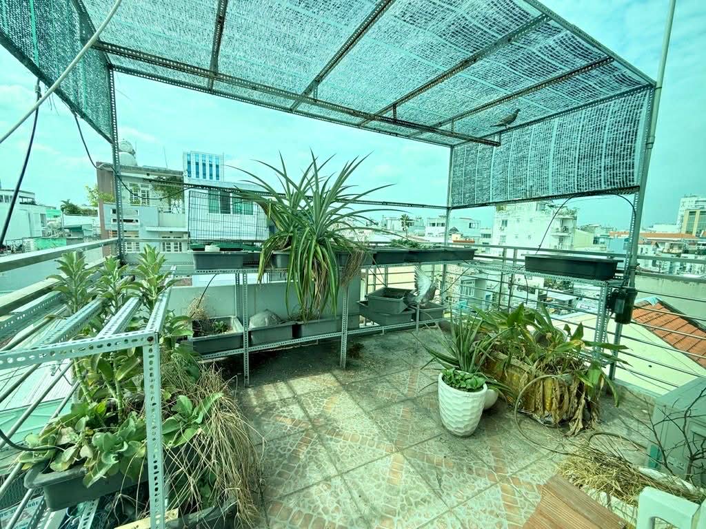 Vị trí: P4 Tân Bình, khu vực sầm uất, giao thương cực tốt. 15996275