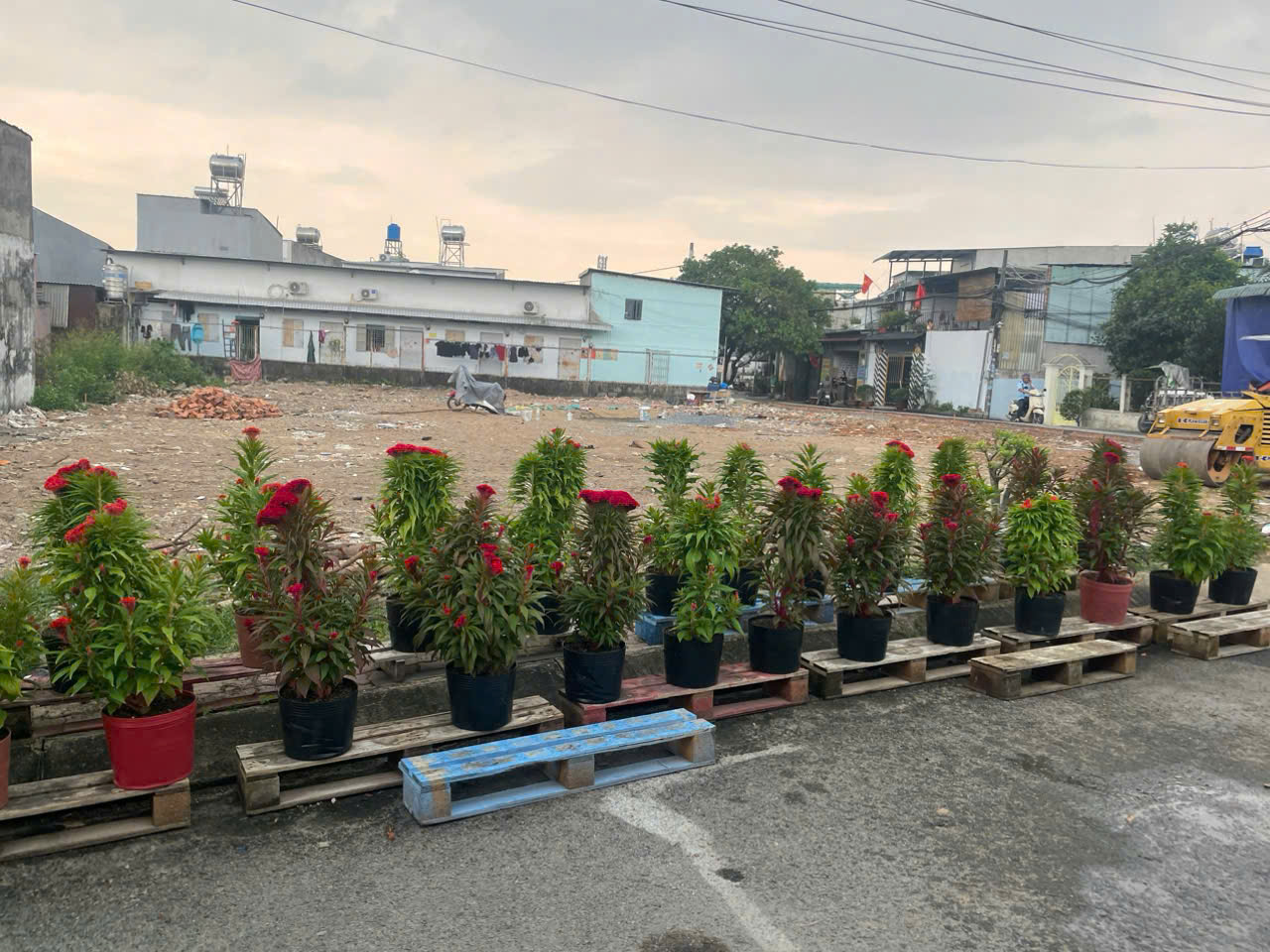 CHỈ 4 NỀN DUY NHẤT NHỰA ĐÔNG THẠNH VỊ TRÍ ĐẸP – GIÁ 3.75 TỶ 15996435