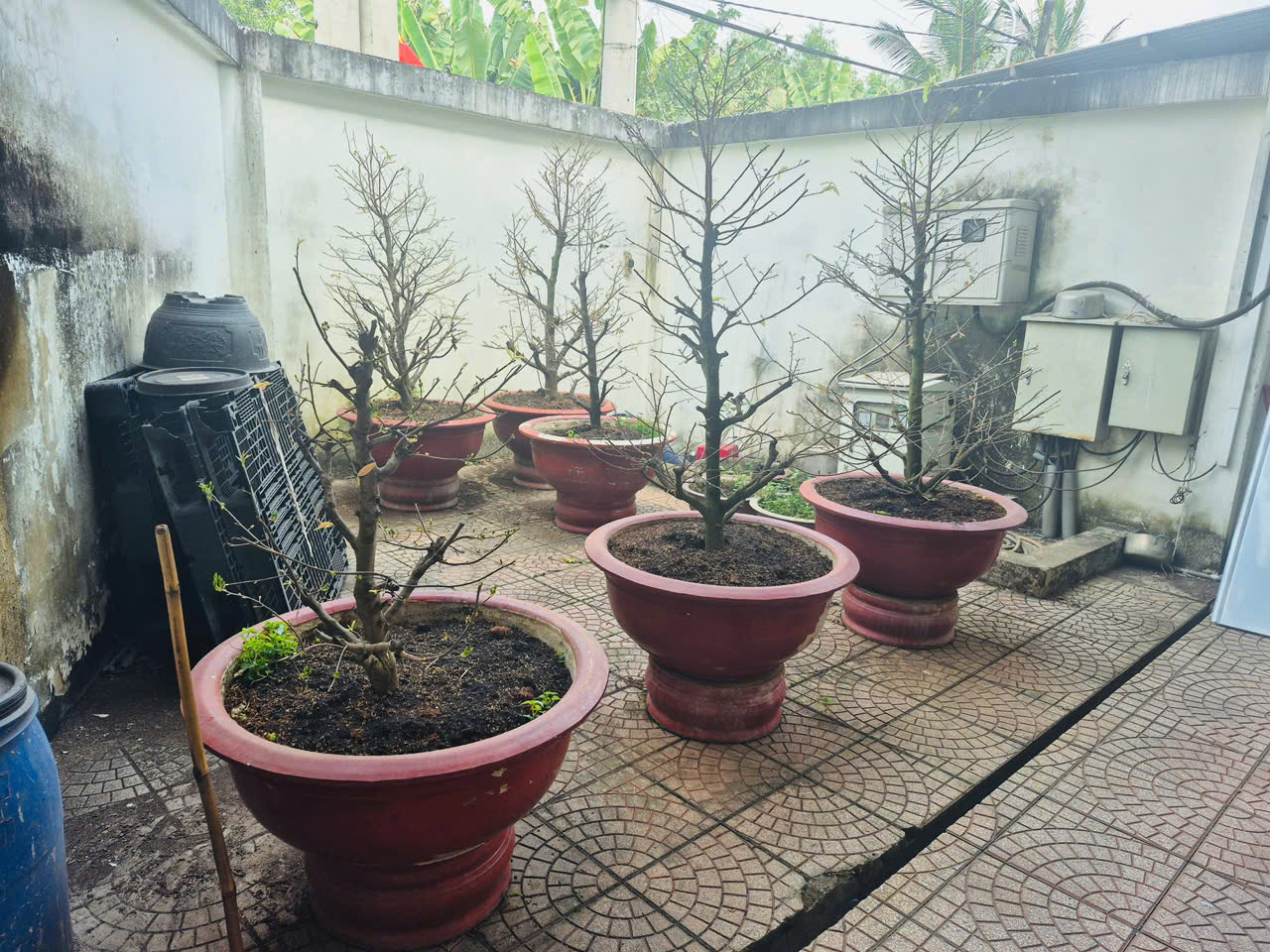 CHỦ KẸT GẤP GIẢM CHÀO GIÁ MỚI – NHÀ XƯỞNG BÌNH MỸ CHỈ 17.X TỶ 15996481