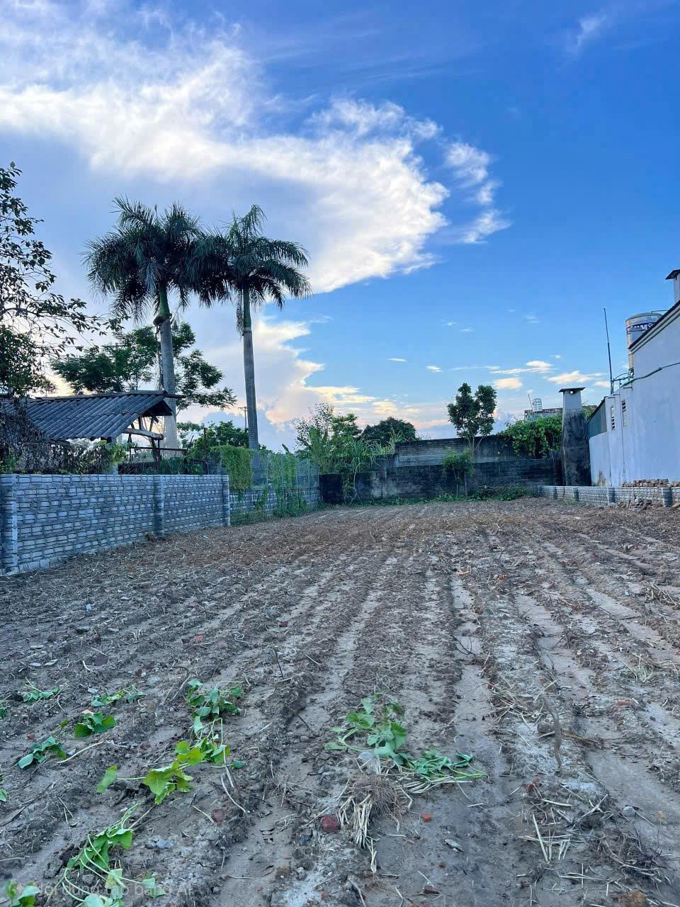 E cần chuyển nhượng lô đất xây Biệt Thự & Nhà vườn tại phường Nông Tiến, Tuyên Quang 15996648