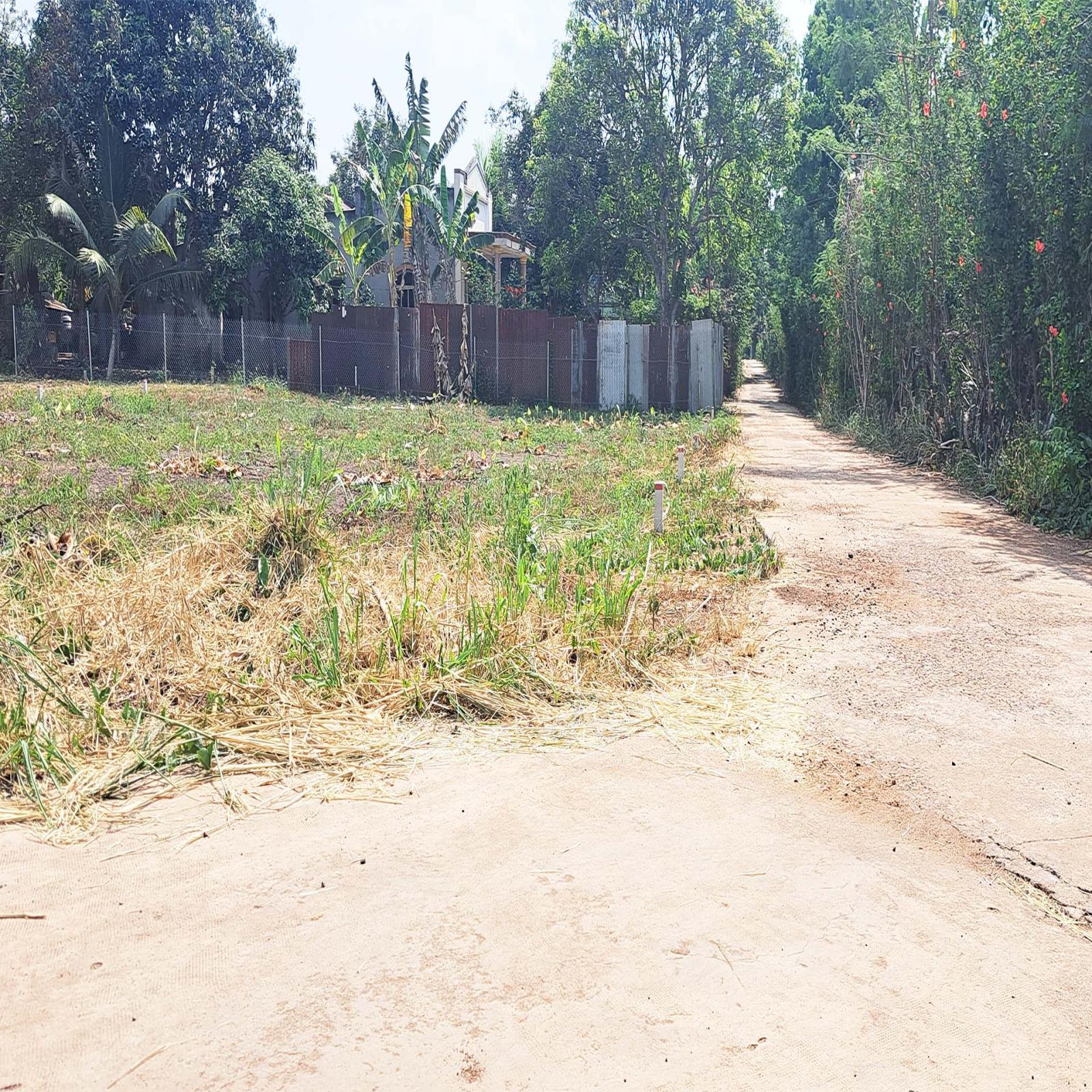 CHỈ 790TR, 5M×30M (NỞ HẬU) NGAY ĐƯỜNG DT772, TP LONG KHÁNH, ĐN 15996695