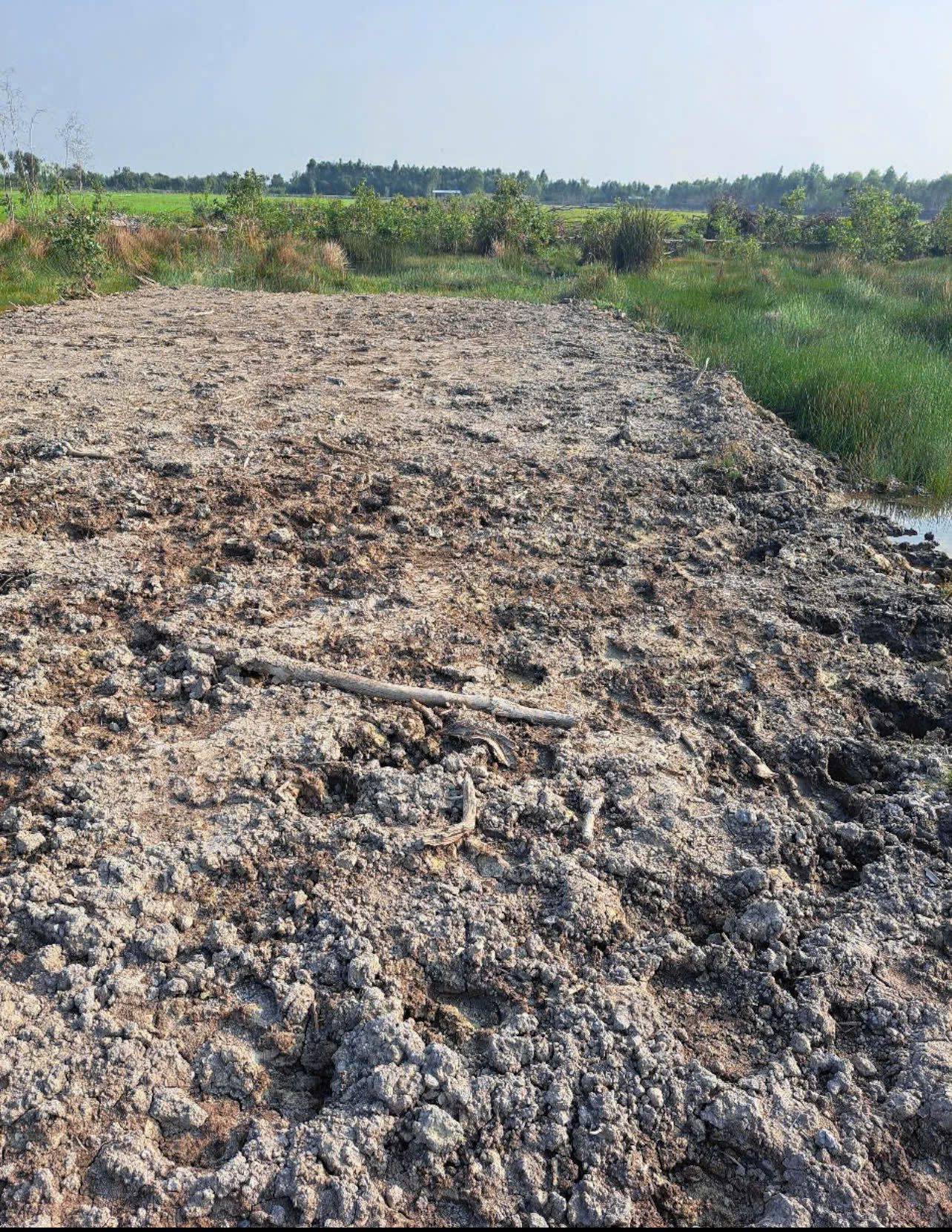 CHÍNH CHỦ  Cần bán miếng đất vườn 1600m2 - Giá : 700tr (có thương lượng) 15996705