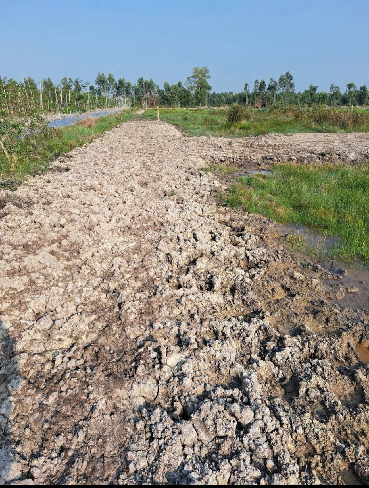 CHÍNH CHỦ  Cần bán miếng đất vườn 1600m2 - Giá : 700tr (có thương lượng) 15996705