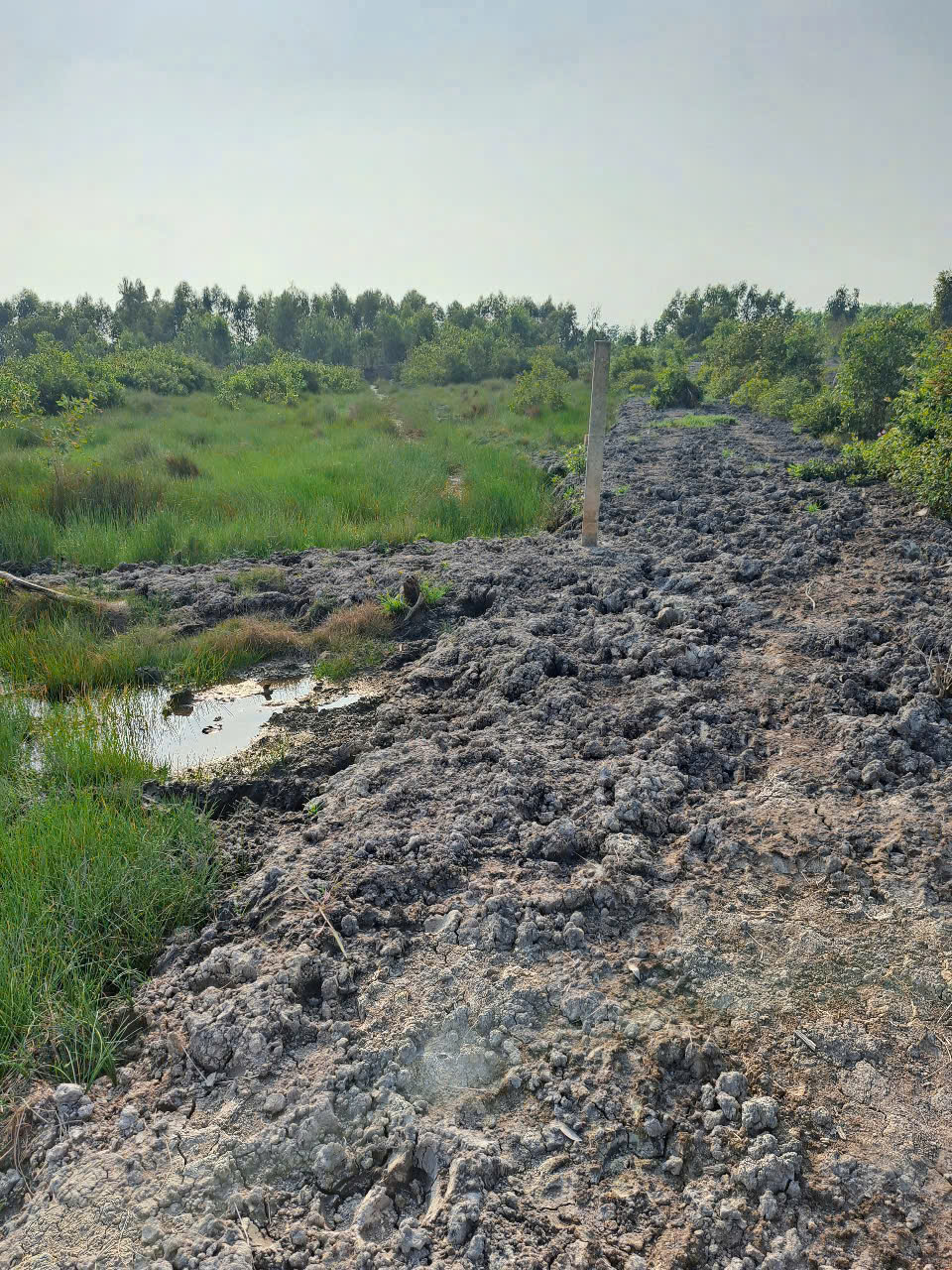 CHÍNH CHỦ  Cần bán miếng đất vườn 1600m2 - Giá : 700tr (có thương lượng) 15996705