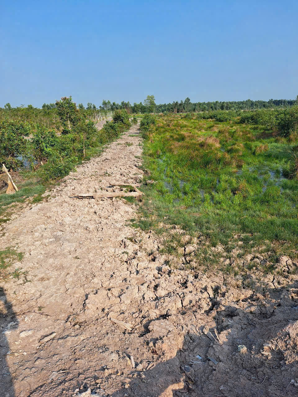 CHÍNH CHỦ  Cần bán miếng đất vườn 1600m2 - Giá : 700tr (có thương lượng) 15996705