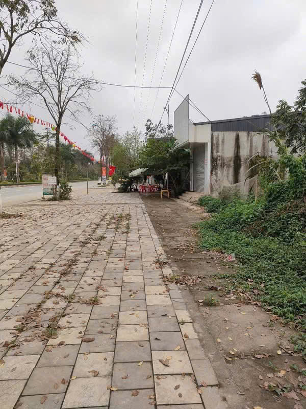 CHUYỂN NHƯỢNG 2 LÔ ĐẤT VIP LIỀN KỀ VT1 ĐƯỜNG ÂU CƠ 15996718