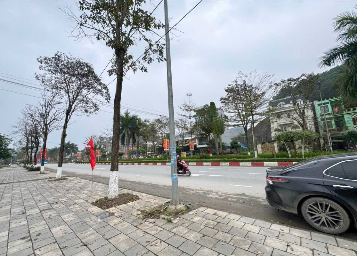 CHUYỂN NHƯỢNG 2 LÔ ĐẤT VIP LIỀN KỀ VT1 ĐƯỜNG ÂU CƠ 15996718