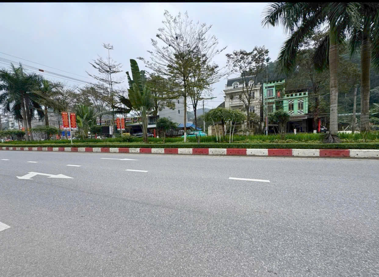 CHUYỂN NHƯỢNG 2 LÔ ĐẤT VIP LIỀN KỀ VT1 ĐƯỜNG ÂU CƠ 15996718