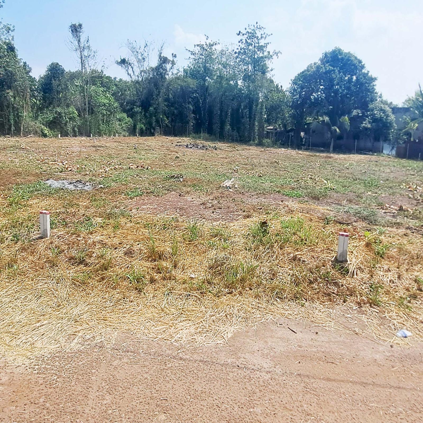 5m×25m 2 MẶT TIỀN  TP LONG KHÁNH, ĐN  NGAY TRƯỜNG HỌC MN đến CẤP 3  GIÁ CHỈ 790Tr 15996732