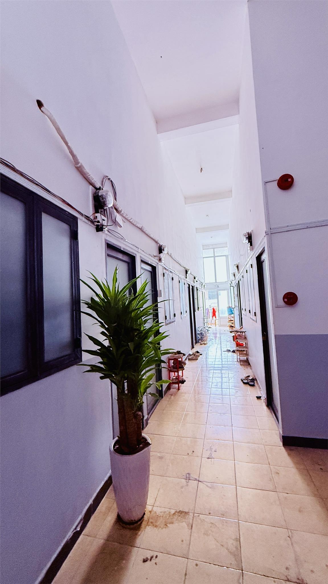 CĂN HỘ DỊCH VỤ 50 PHÒNG, DIỆN TÍCH 278M2, 6 TẦNG, QUANG TRUNG, P.8, HẺM XE HƠI, GIÁ MỀM 15996784