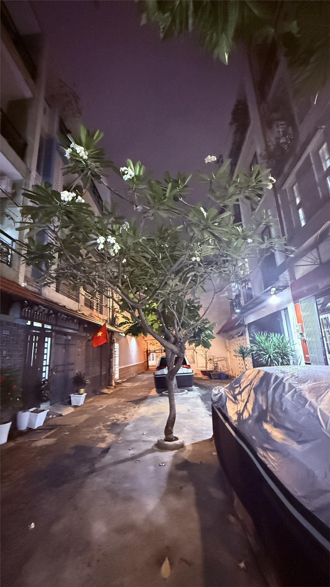 NGỘP BANK GẤP BÁN, GIẢM TỪ 13 TỶ CHỈ CÒN 10.85 TỶ, ĐƯỜNG SỐ 9, P.16, DT 113M2,3 TẦNG, HXH 15996796